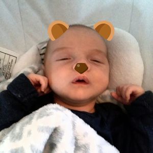 Meet your Posher, Molly